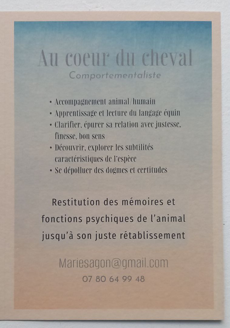 Au cœur du cheval

Comportementaliste

Accompagnement animal/humain

Apprentissage et lecture du langage équin

Clarifier, épurer sa relation avec justesse.

finesse, bon sens

Découvrir, explorer les subtilités caractéristiques de l'espèce

Se dépolluer des dogmes et certitudes

Restitution des mémoires et fonctions psychiques de l'animal jusqu'à son juste rétablissement

Mariesagon@gmail.com

07 80 64 99 48